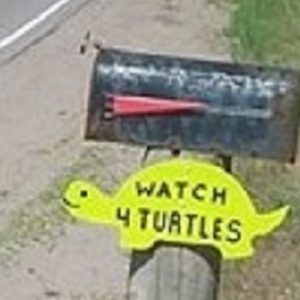 Watch for Turtles Signs