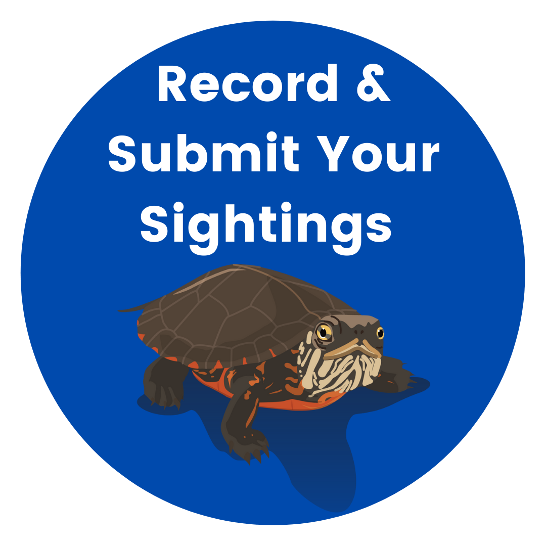 Record and submit sightings