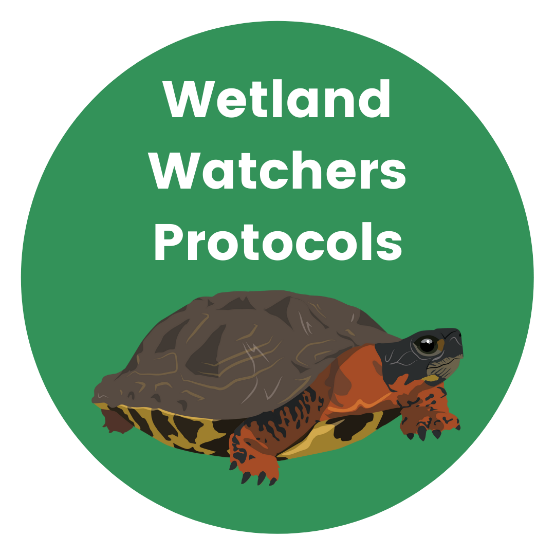 Wetland Watchers protocol