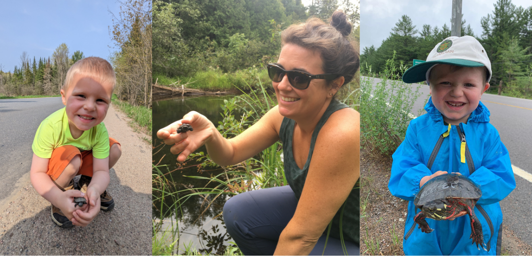 Help save turtles this summer!