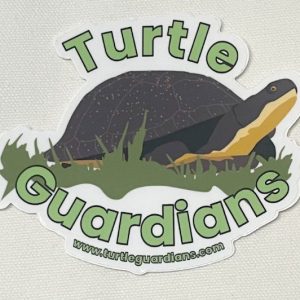 Turtle Guardians Blandings Sticker