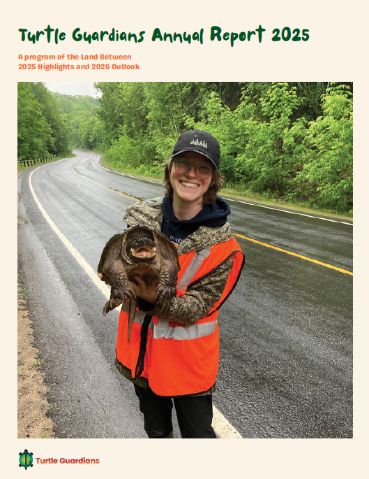 TG annual report cover