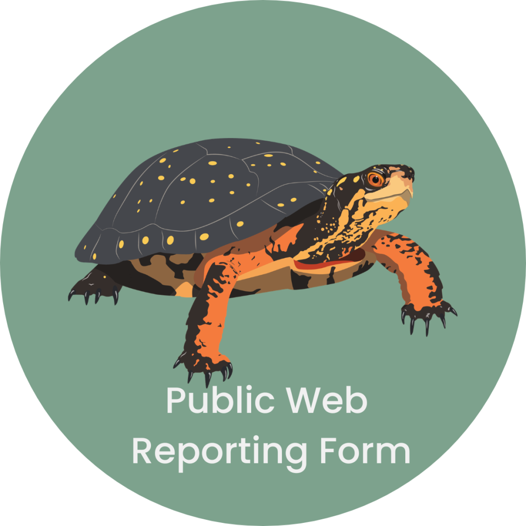 ACTUAL DESIGN - This is what we publish! (7)