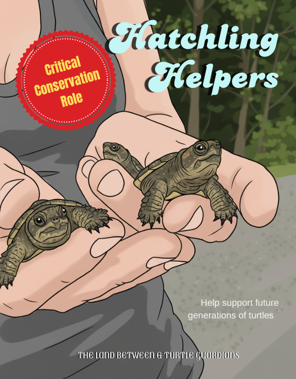 Emergency Responders (586 x 750 px) (7)