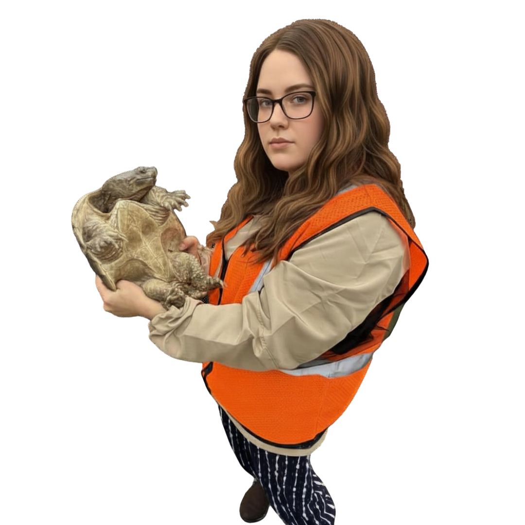 general social and web pics (10)