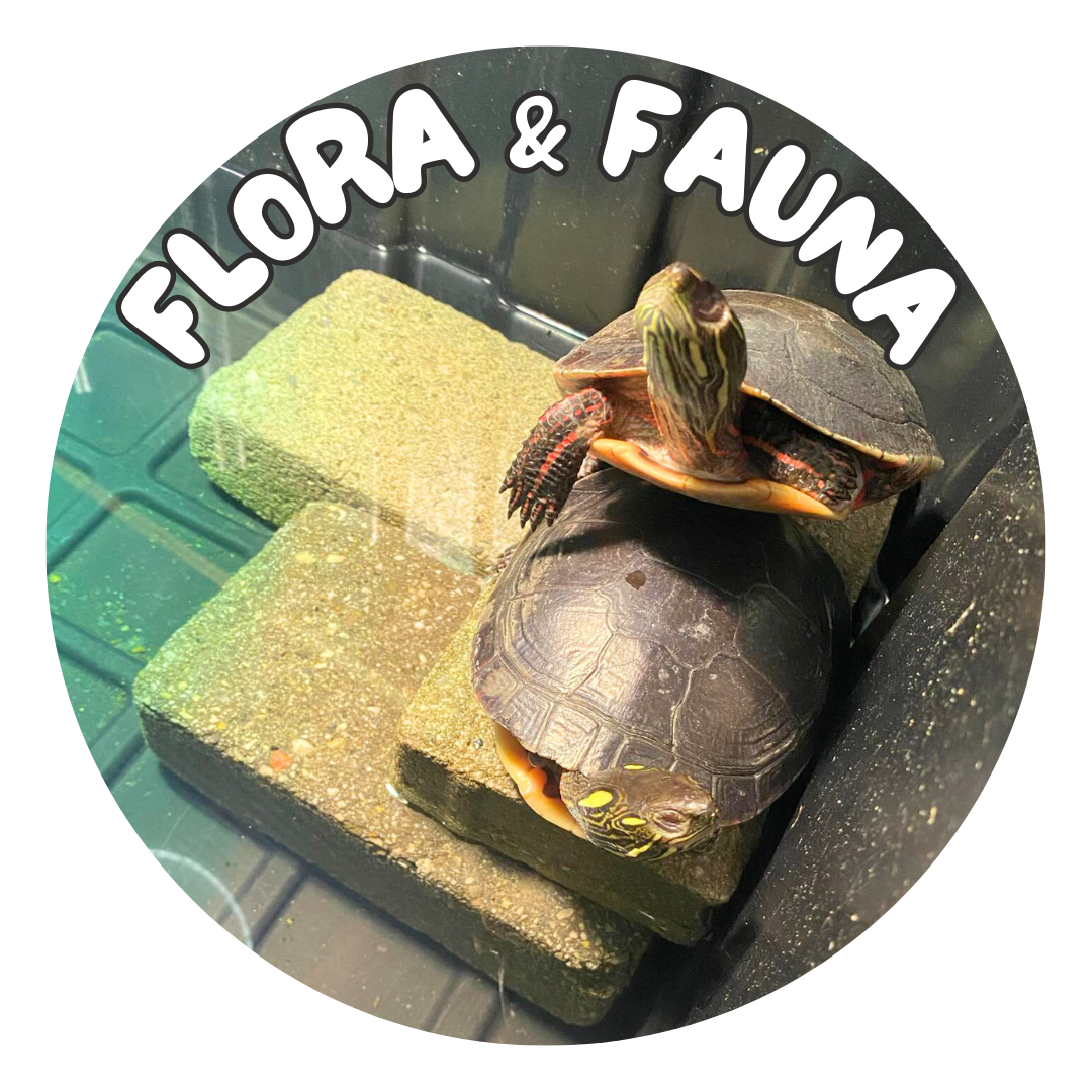 flora and fauna