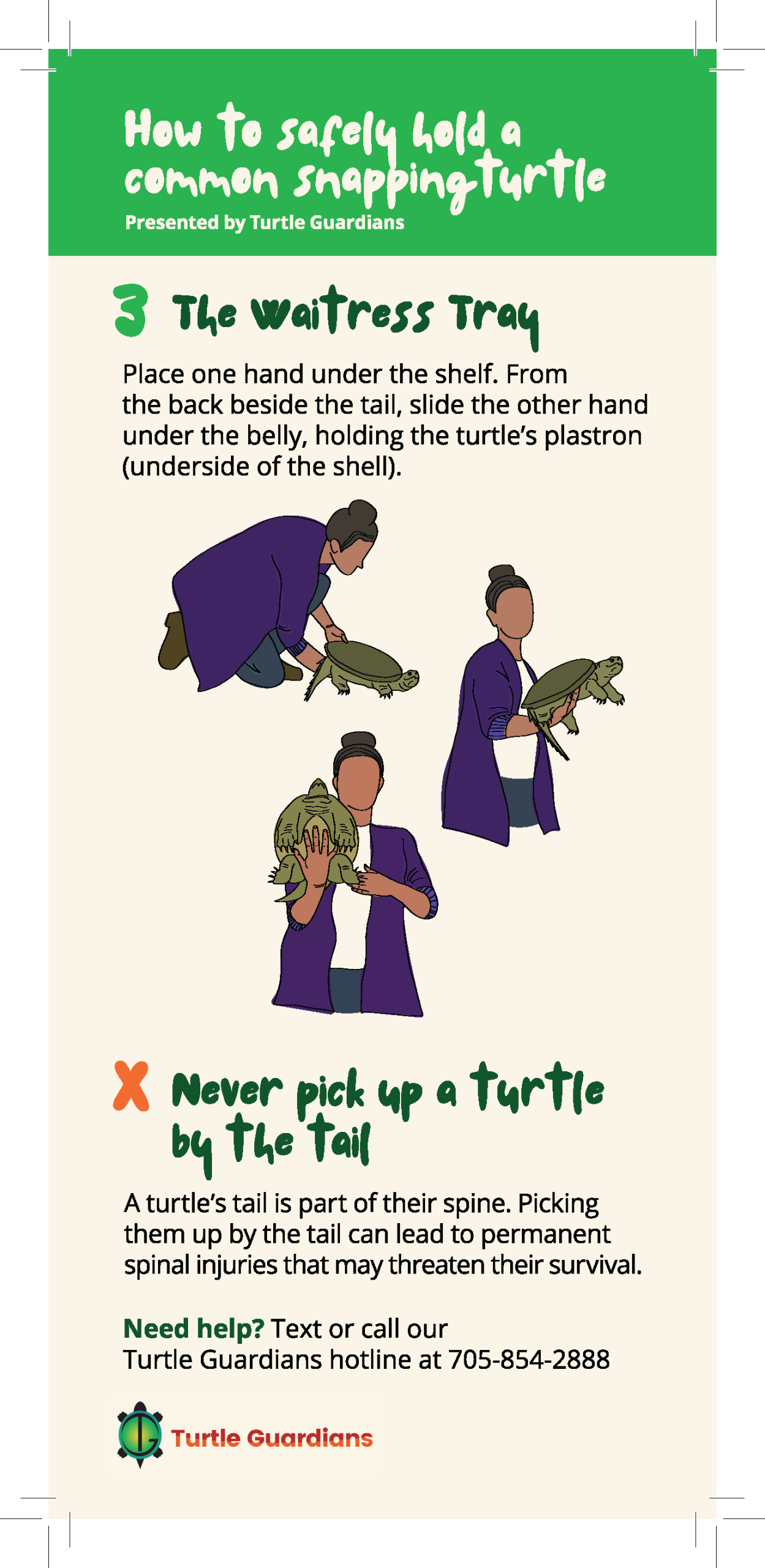 how to hold a turtle_3.75 X 8.5_edit 04.16 (00000002)_Page_2