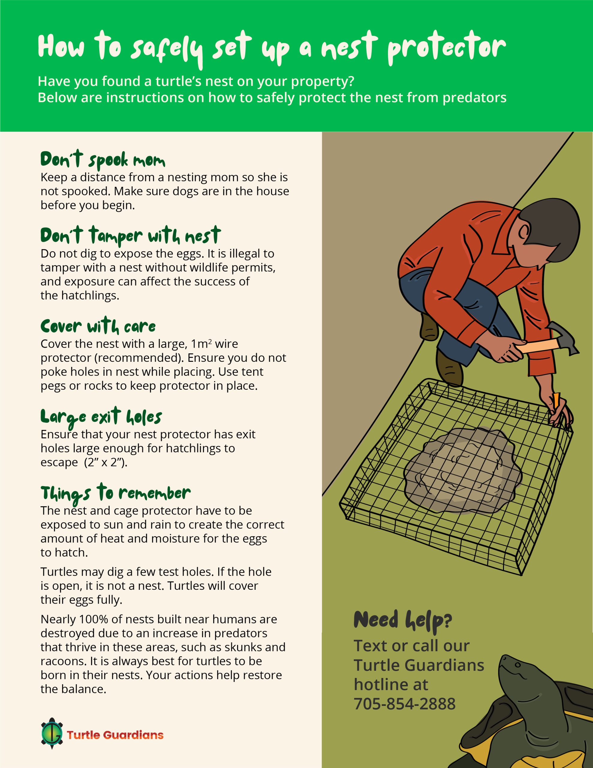 nest protector poster_edit2