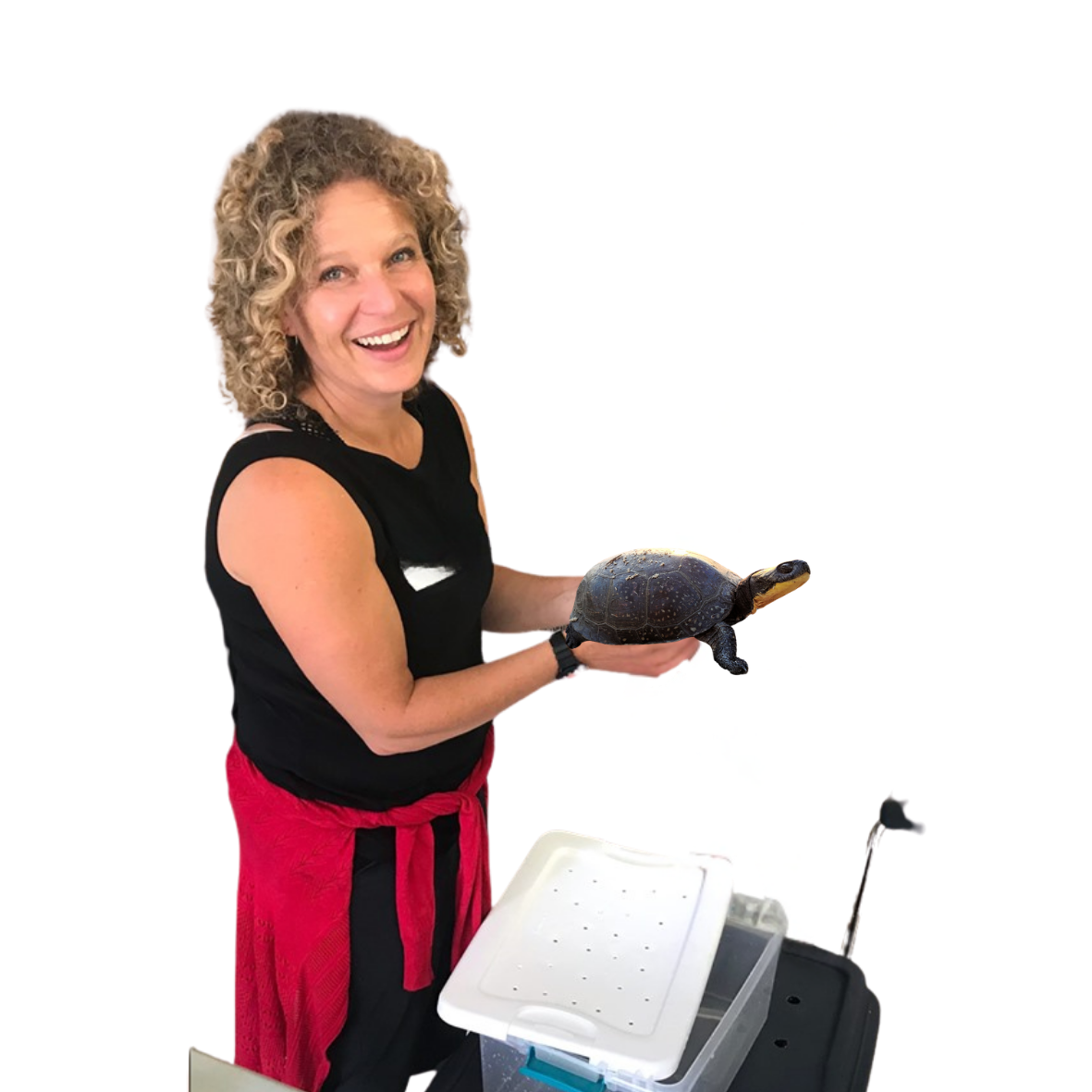 Untitled design - 2026-07-28T213904.924