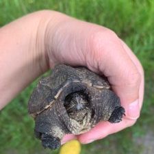 293479332_3221555508096815_4527539150548273293_n