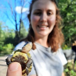 55fb4b36-6283-4552-a020-e24e847f4827