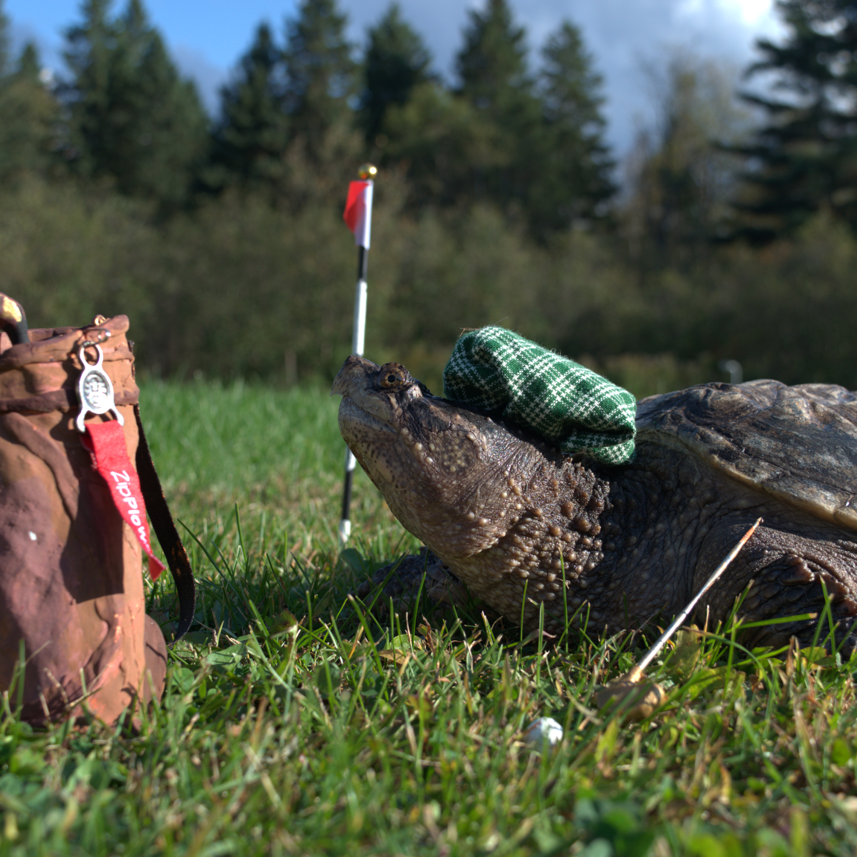 DSC_0558inside shrunk