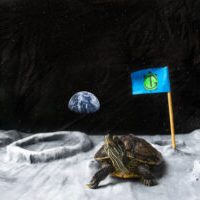 Moon_Otis-20220920-37-Edit