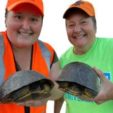 Untitled (1080 × 900 px) (1080 × 800 px)