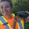 syd saving turtle